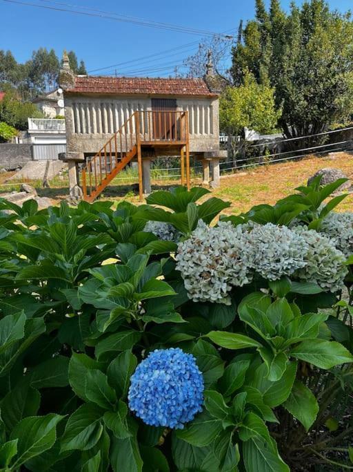 Agradable Casa Rural Entre Pontevedra Y Arcade Bagian luar foto